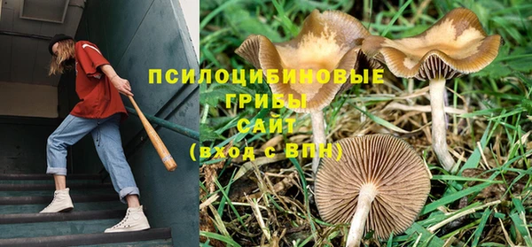 скорость Горняк