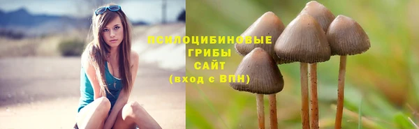 каннабис Гусь-Хрустальный